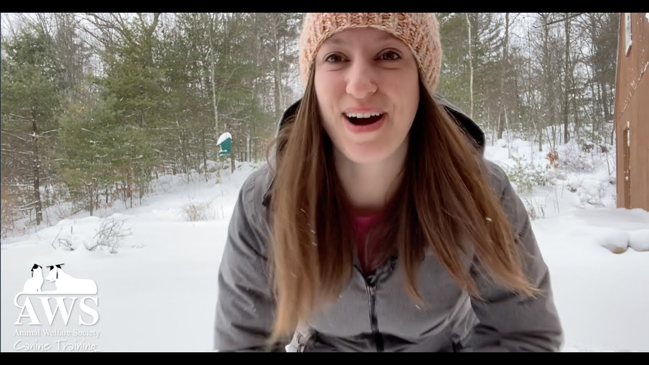 Ask the Trainer: Snow Day Fun and Games