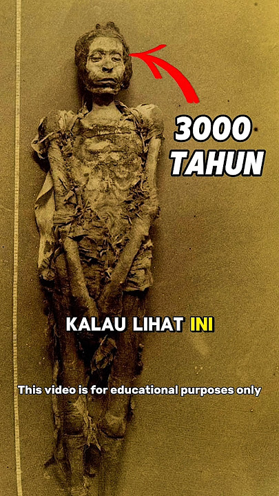 2 Temuan Arkeologi Paling Menarik Di Mesir #faktaunik #faktamenarik #sejarahdunia