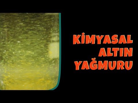 Video: Altın Yağmur deneyinde ne olur?