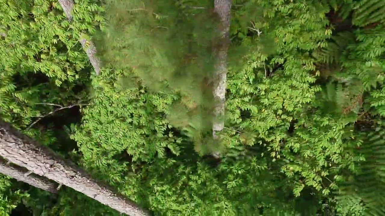 Cable car. Camp Sabros, Davao, Mindanao, Philippines 