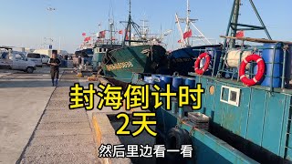 还有2天封海了青岛码头上的格外繁忙#青岛 #海鲜原产地