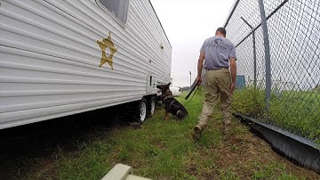 Explosives Detection Training with K-9 Boody