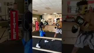 Perfect balance #boxing #peekaboo #combo #knockout #fyp #reels #shorts #youtubeshorts #miketyson