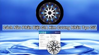 Cách Nào Phân Biệt Kim Cương Nhân Tạo GIA Giả Tue DMJ-GMES HÀNG NGÀY 9-5-2023