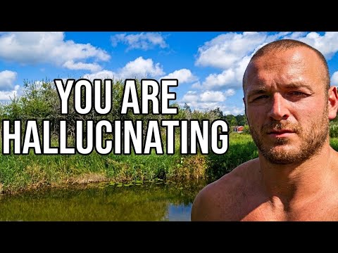 www.youtube.com