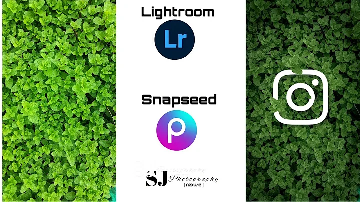 Moody green editing(Lightroom colour grading tutorial)