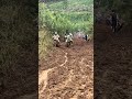 Quem aí gosta de 2t 🐝 Tombo na Lama Piên Pr