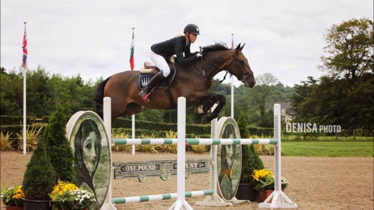 Top Class Young show jumper FOR SALE YouTube