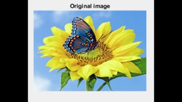 Image Processing MATLAB | How to do Bit-Plane Slicing in MATLAB | Code | Explanation