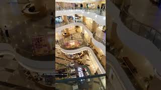 Shamsher banela to Shikari Bano#sanjaymauryacomedian  #shortvideoSanjay Yadav #bhojpuri #viralvideo