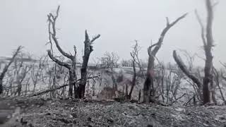 Мое последнее видео. Боец Константин Головин читает стих И. Талькова