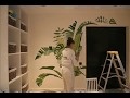 Time-lapse film of tropical leaf mural by Rachel Spelling for Studio Spelling