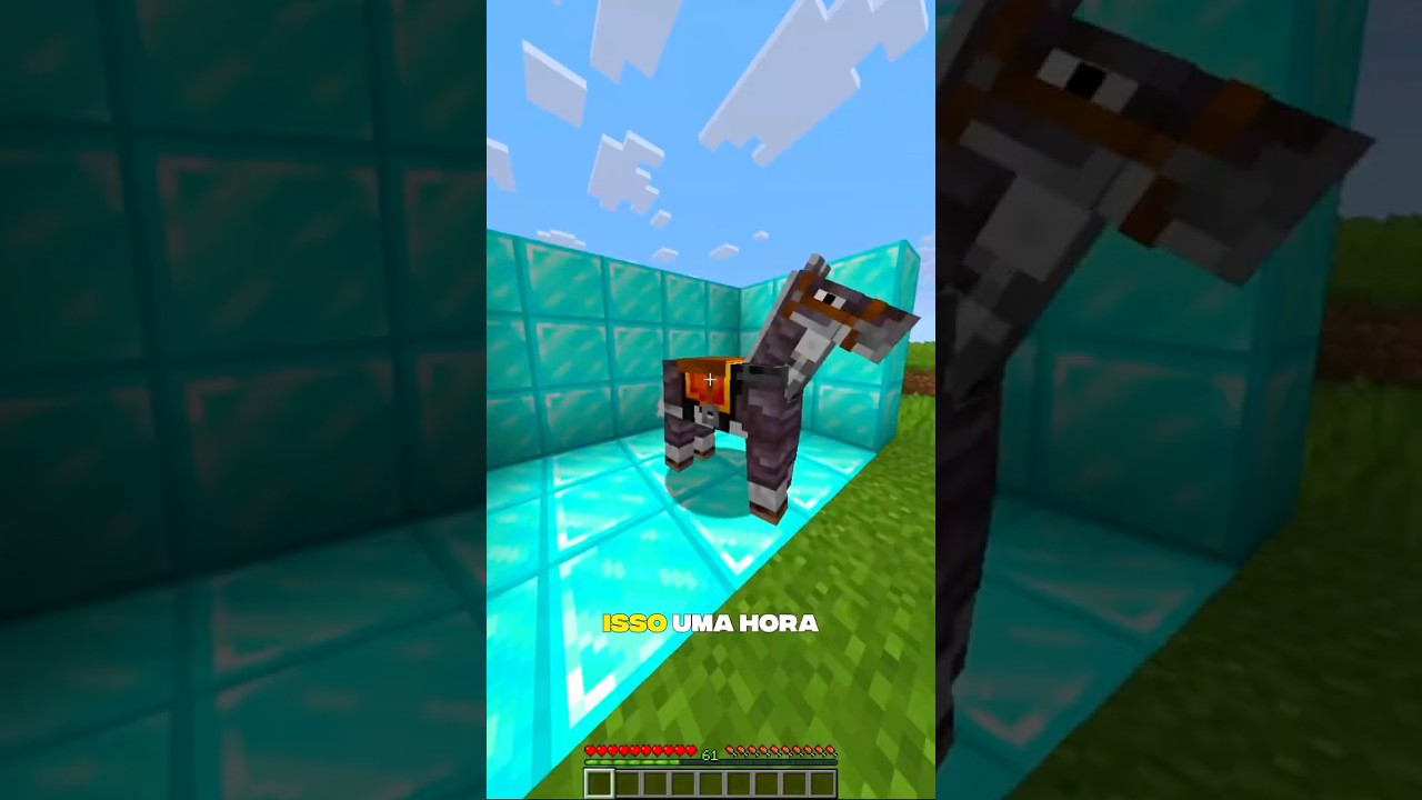 o SUPER CAVALO do Minecraft