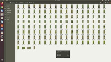 mask rcnn training setup