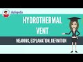 Exploring Hydrothermal Vents and Their Unique Ecosystems