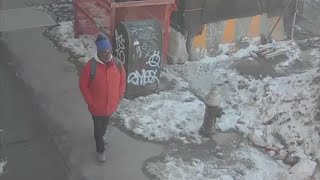 Woman, 67, elbowed in the face in the Bronx: NYPD