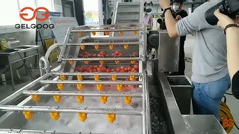 Factory Video About The Tomato Paste Making Machine line
