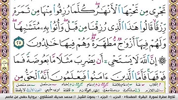سوره البقره ايه ٢٥ المنشاوي