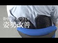 ランバーサポート（腰枕・背もたれ・人間工学・姿勢矯正）150-SNCCS2