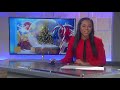 Sparkle in the Park Brings the North Pole to Northern Michigan with Over 50 Christmas Light Displays