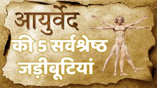 5 Best Herb Of Ayurveda आयरवद क उपहर Jadibuti Store