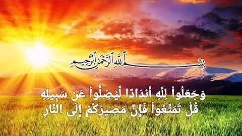 سورة إبراهيم كاملة مكتوبة قران كريم بصوت الشيخ ماجد الزامل #القران_الكريم