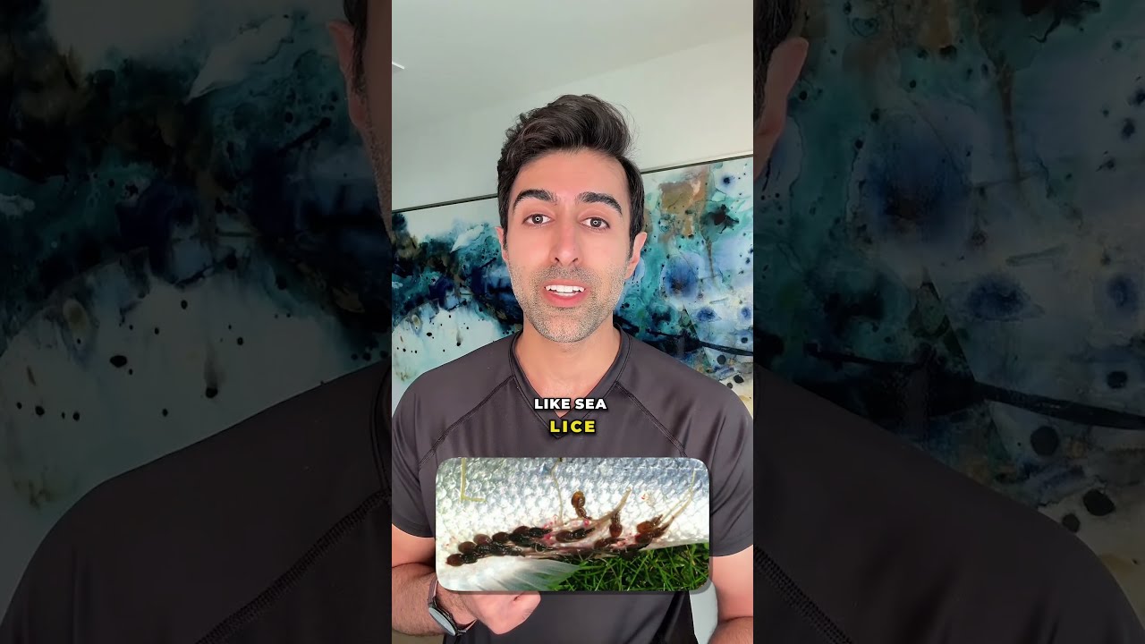 Can You Still Eat Salmon If It Has Parasites 
