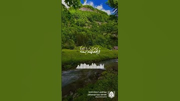 #تلاوة من #سورة_القصص بصوت #محمد_صديق_المنشاوي #قرآن #قرآن_كريم #آيات #quran