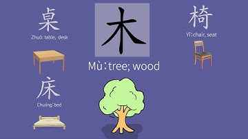 How to write wood 木 in Chinese| Chinese character stroke order 木 |  木 evolution 象形字  | tree radical