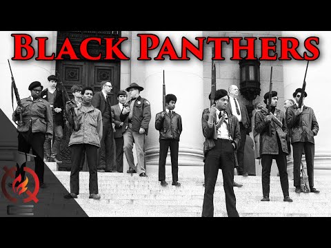 ब्लैक पैंथर पार्टी का इतिहास