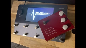 Neural Quad Cortex - Capturing Pedals