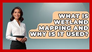 What Is Wetland Mapping And Why Is It Used? - The Geography Atlas