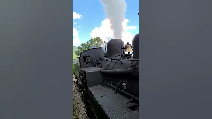 Cass Railroad Shay no.2 drive shaft