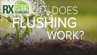 Does Flushing work?  Is Flushing plants a myth?