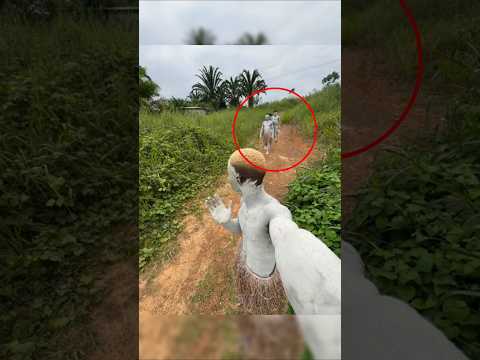 ظن أنه ذكي حتى اكتشفوا الحقيقة 