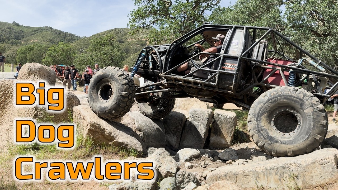 Full Scale Crawling Action