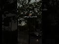 ليتني مثلك ما احس وما احن وما انتظر ..💔🙍🏻‍♂️ ستوريات حزينة🥀 اقتباسات🖤 موسيقى/مجرد ذوق #لايك #اشتراك