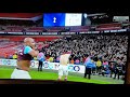 West ham fan falls over vs tottenham