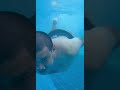”¡ALGO NO ESTÁ BIEN EN ESA PISCINA! ” #parativiral #novelas #drama #tv #telenovelas #viral #parati