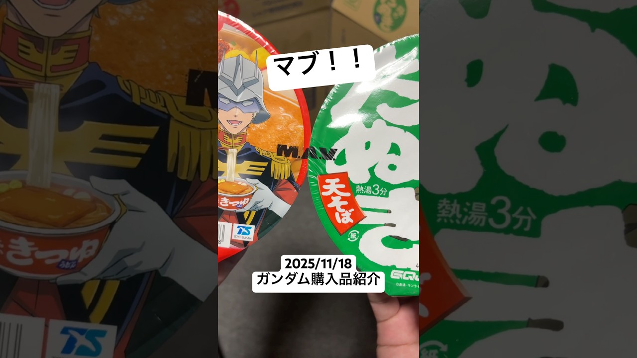 2025/11/18 ガンダム購入品紹介！機動戦士ガンダムジークアクスが