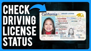 How to Check Driving License Status (A Step-by-Step Guide)
