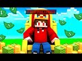 SONO DIVENTATO PROPRIETARIO di QUESTO SERVER MINECRAFT