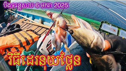 Fun Fishing for Snakehead Fish With Lizard