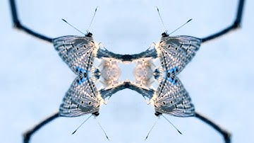 The Reverse Engineer - Metastability