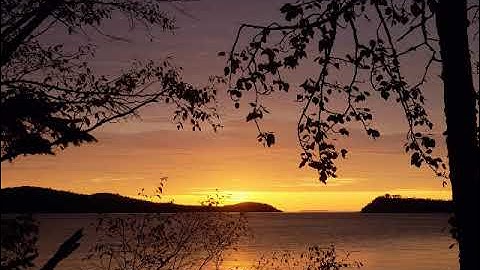 سورة الفلق بصوت القارئ همام عبد الفتاح توفيق