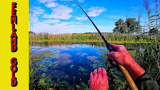 I visited this Fenland drain after 50 years and this happened! : Coarse fishing UK
