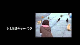 Hokkaidou no kyabakura/ Oishi Rino (Live)