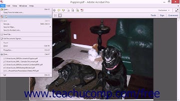 Exporting Images - Adobe Acrobat XI Training Tutorial Course
