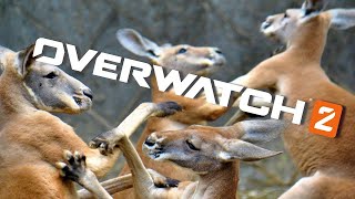 【OVER WATCH2強化合宿】にじさんじかにじさんじ以外か【夕陽リリ/にじさんじ】
