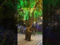 Janamasthmi @IISc Bangalore | Indian Institute of Science #shorts #iisc